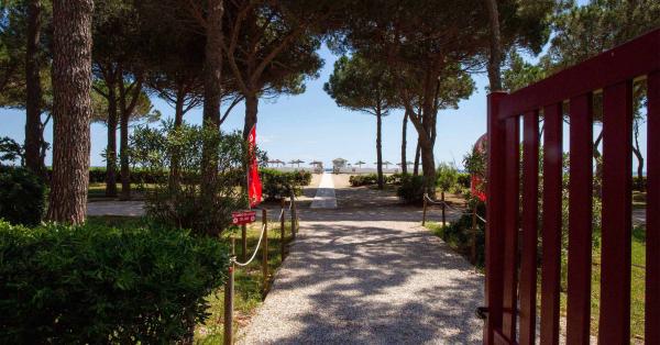 lido-2500-_0000s_0017_lido-bois-pins