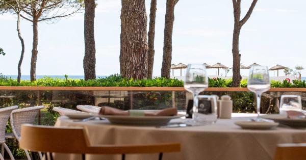 lido-resto-mai2025-vue