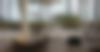 lido-plats-exterieurs_0000s_0000_4O4A7658ota
